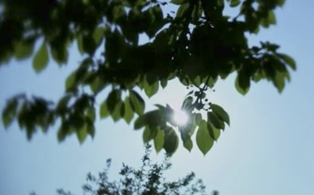 Le potager - Suez Environnement