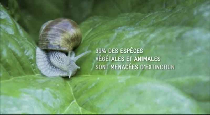 Le potager - Suez Environnement